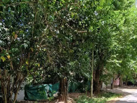 Terreno en Venta en City Bell, USD 52.000