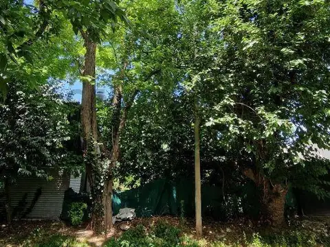 Terreno en Venta 21  mts Fondo
