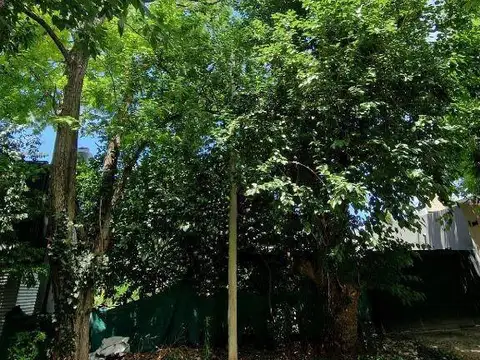 Terreno en Venta de 210,0 m2