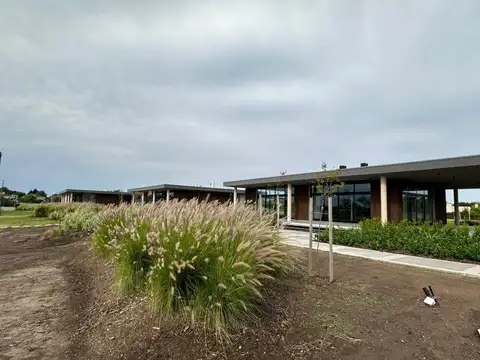 Los Cardos Pilar 100