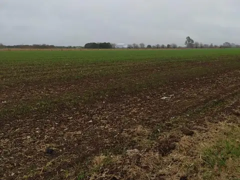 19 HA, CERCA DEL PUEBLO!