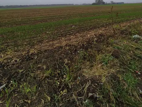 Campo en Venta de 19  ha