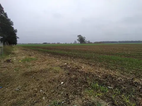 19 HA, CERCA DEL PUEBLO!