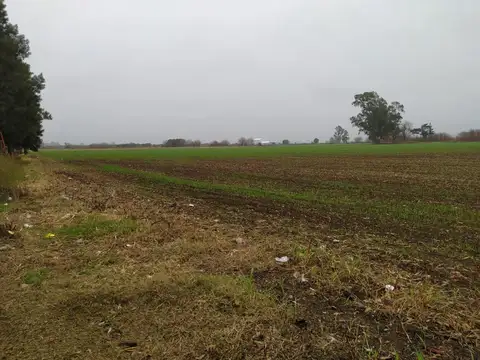 Campo en Venta de 19  ha