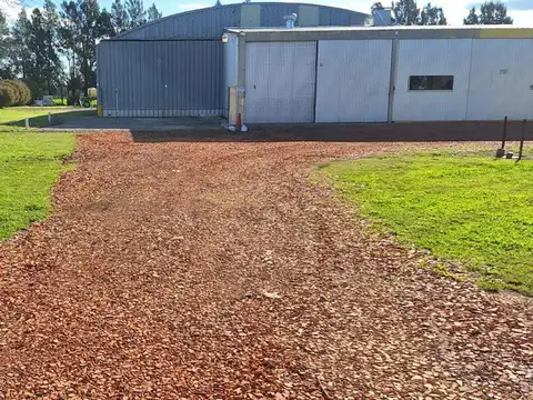 Alfredo Schilla 1200