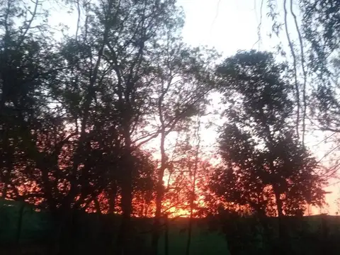 FINCA DE FRUTALES, CARRIL NORTE SAN MARTÍN