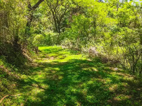 Terreno en Venta de 10000,0 m2