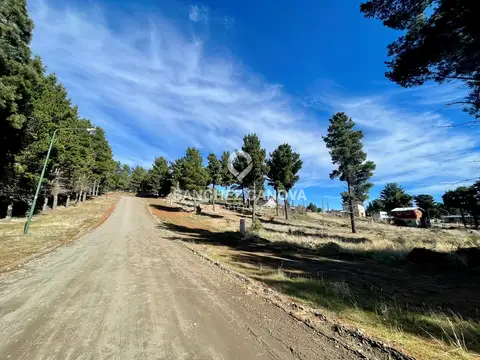 Terreno Lote  en Venta en Dina Huapi, Bariloche, Patagonia