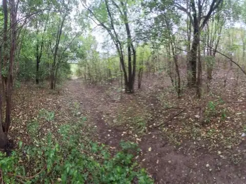 Av.la Castellana 100