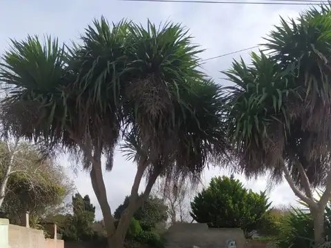 Terreno en Venta 10  mts Frente