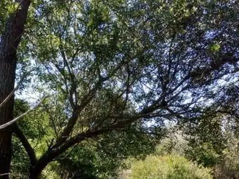 Terreno en Venta en Cañadon de los Mogotes, USD 680.000