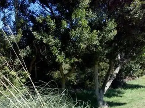 Terreno en Venta de 2652,0 m2