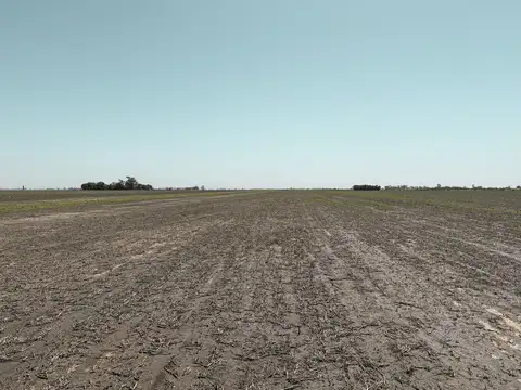 Chovet '36,2 hectareas