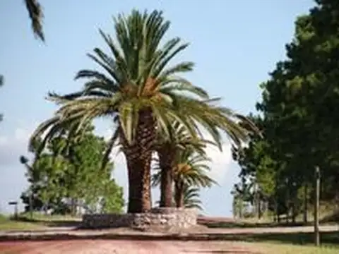 Terreno en Venta en Carmelo, USD 140.000