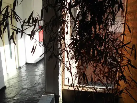 Departamento en Alquiler 30 años
