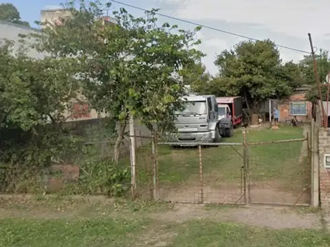 Canel Miguel 100