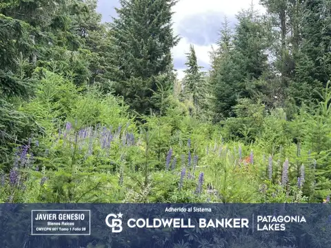 VENTA Lote | Terreno 3100m2 UF 2 Villa La Angostura Acceso al lago