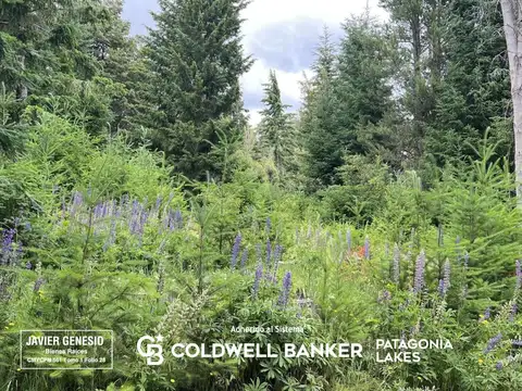 Terreno en Venta en Puerto, USD 186.000