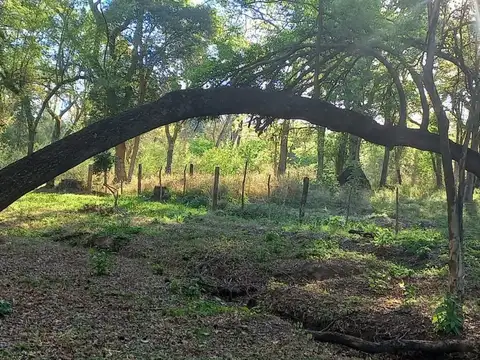 Terreno en Venta 40  mts Fondo