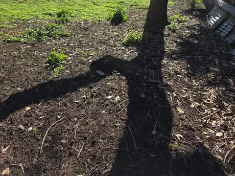 Terreno en Venta de 300,0 m2