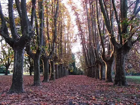 Terreno en Venta de 1200,0 m2