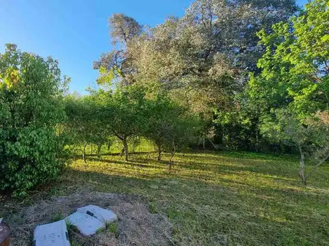 Ruta Provincial 2 Km. 52,5 3300