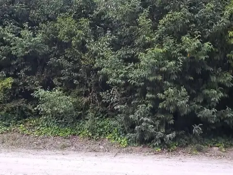 Cortázar y Mariano Moreno