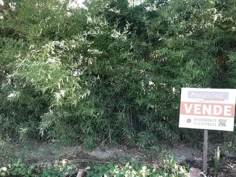 Terreno en Venta 31  mts Fondo