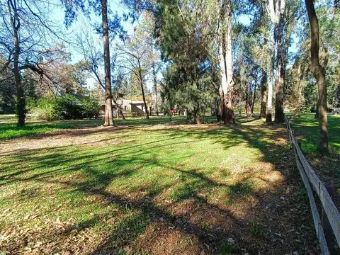 Terreno en Venta de 1649,0 m2