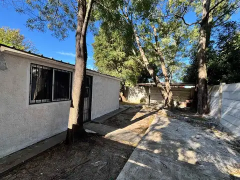 Rincón 100