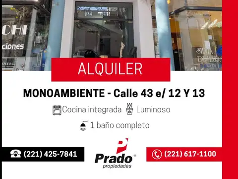 MONOAMBIENTE LUMINOSO - ZONA CENTRO