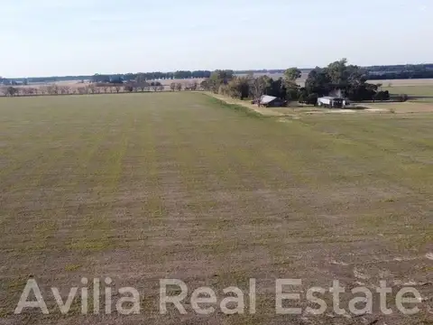 RP41  Km 315  (67 hectareas)