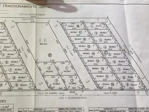 Terreno en Venta 12  mts Frente