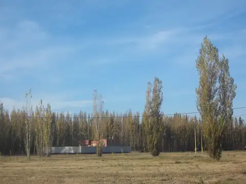 El Terreno mas Cercano al Centro (Casco Viejo) (La zona mas segura) escritura / Todos los Servicios.