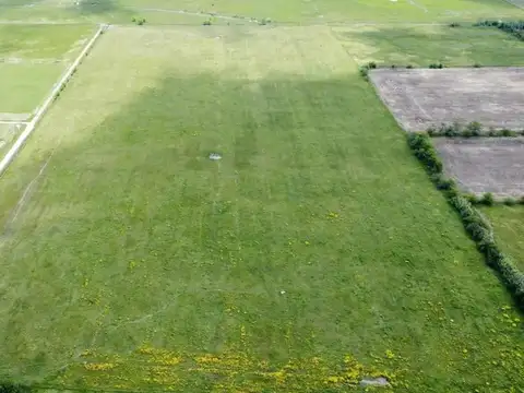 Campo en venta - 163.400Mts2 - Navarro