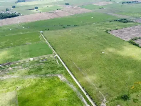 Campo en venta - 163.400Mts2 - Navarro