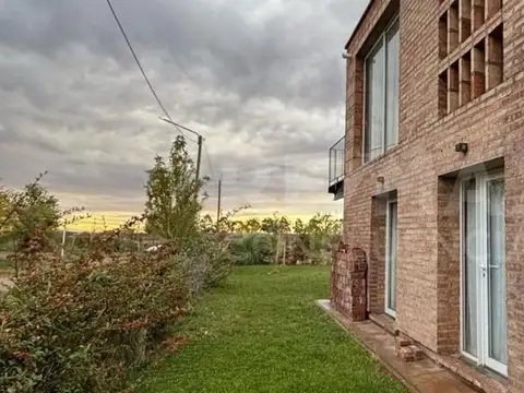 Mari Menuco 100