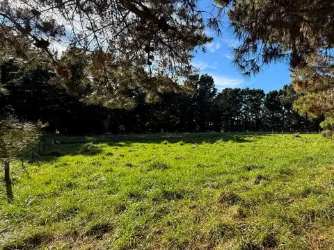 2 LOTES CERCADOS ARBOLADOS 1025 M² EL MARQUESADO