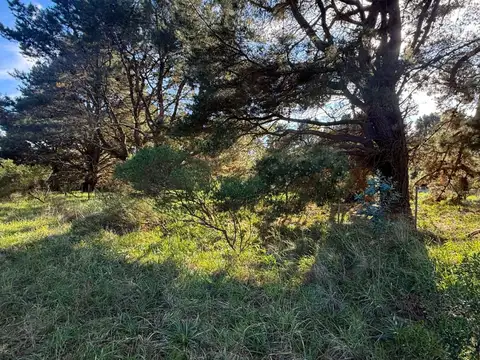 Terreno en Venta de 1050,0 m2