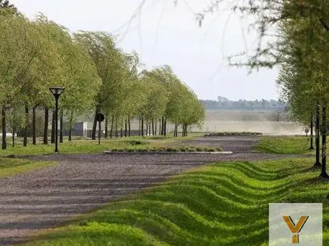 Terreno en Venta 50  mts Fondo