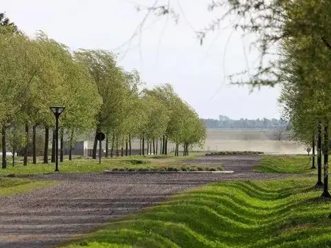 Terreno en Venta 50  mts Fondo
