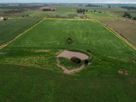 10 Ha, Muy buen IC.  Financiación y/o Permuta.