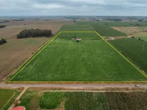 10 Ha, Muy buen IC.  Financiación y/o Permuta.