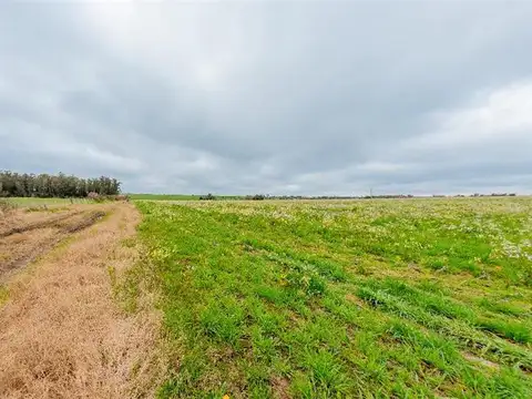 Campo en Venta de 10  ha