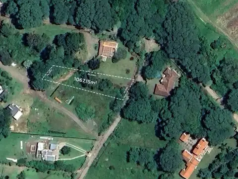 Vaqueros. Los Aromos
