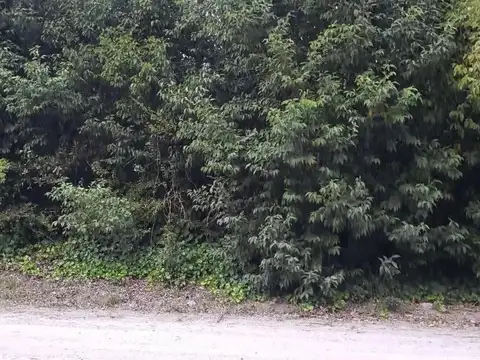 Cortázar y Mariano Moreno