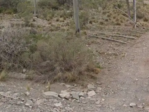 Rincón Del Plata 1200