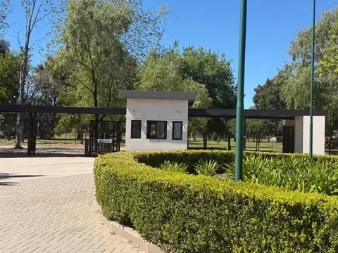 El Cardal 2 100
