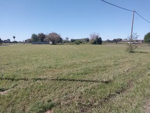 Leguizamon 100