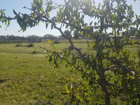 Ensenada 1200